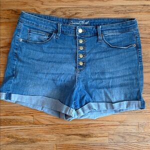 Universal Thread Blue Jean Shorts